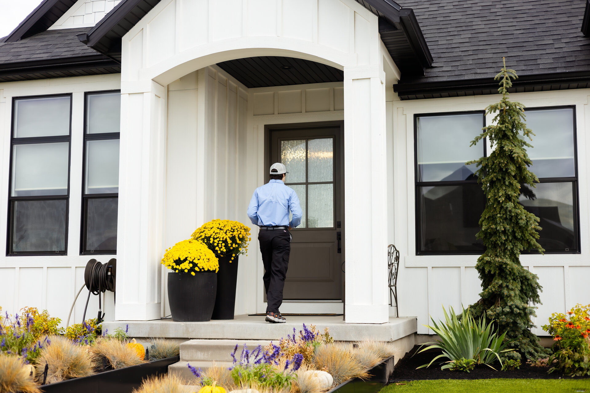 Professional pillbugs control services