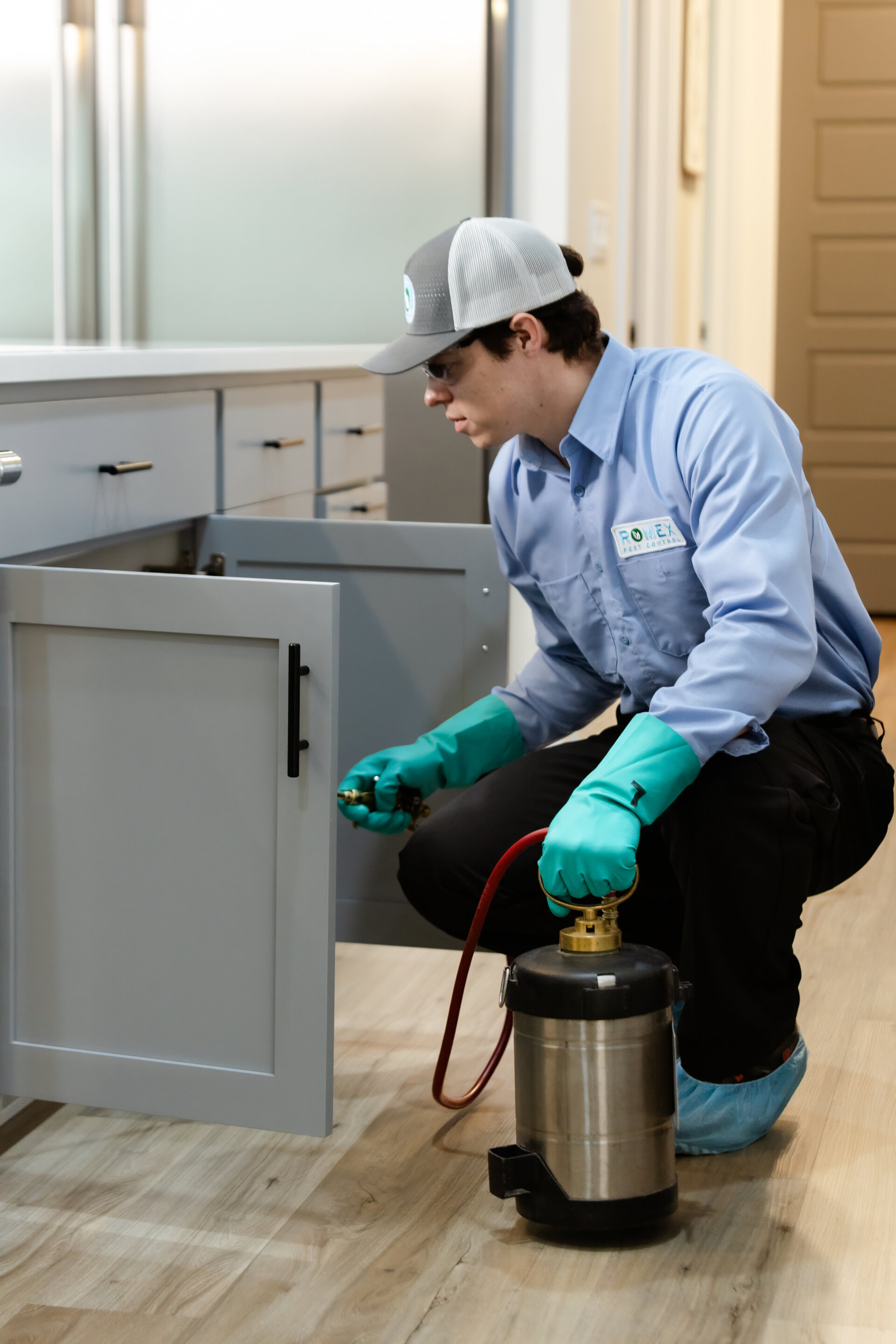 Romex pest control professional