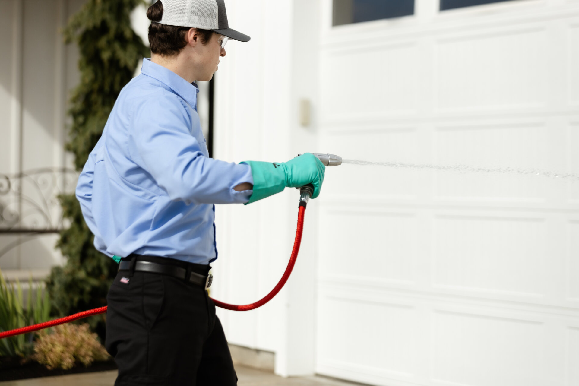 Professional pest control for office buildings