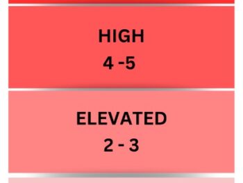 Risk level chart with categories severe to moderate.