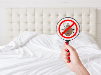 Bed Bugs Elimination