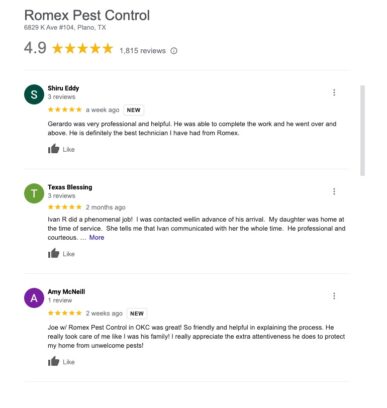 Romex Pest Control Reviews